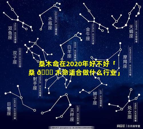 桑木命在2020年好不好「桑 🐋 木命适合做什么行业」